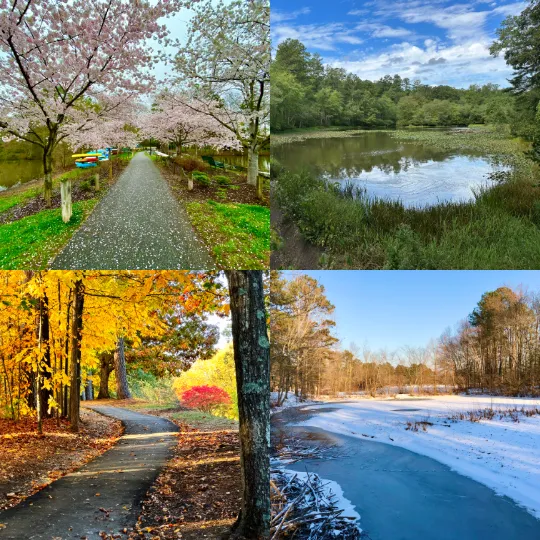 Climate - Four Seasons